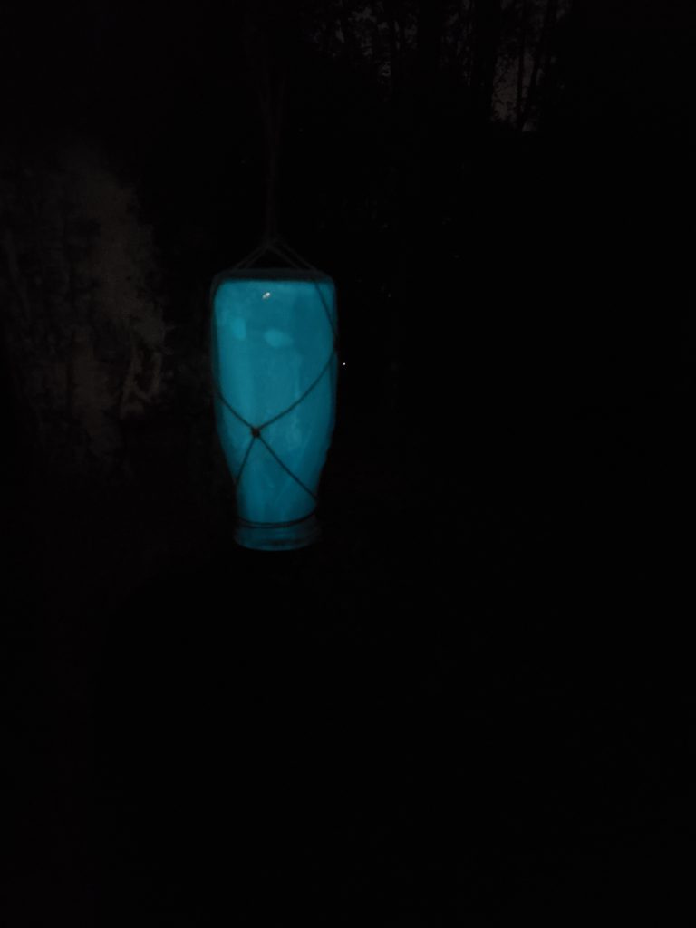 glow in the dark bottle hanging from a tree in the dark